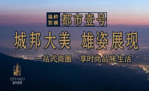 都市壹号效果图